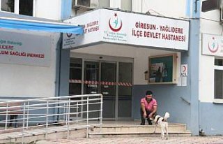 Sahibini tedavi gördüğü hastanenin önünde bekliyor