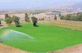 Samsun ve ilçelerinde 221 bin 280 dekar tarım arazisi...