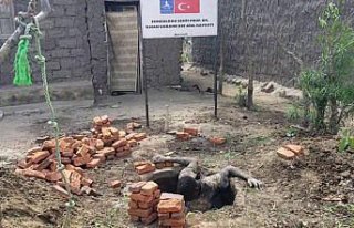 Yazdıkları öyküler Afrika'ya 