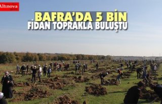 BAFRA’DA 5 BİN FİDAN TOPRAKLA BULUŞTU