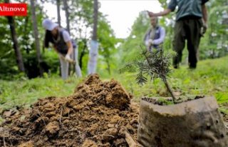 Cumhurbaşkanı Erdoğan 11 Kasım'ı 'Milli...