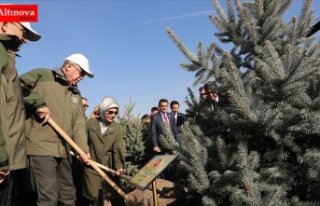 Cumhurbaşkanı Erdoğan: Orman varlığımızı 17...