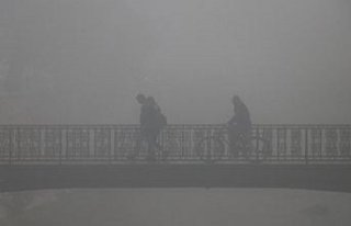 Düzce'de yoğun sis