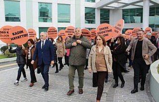 Kadına Yönelik Şiddetle Uluslararası Mücadele...