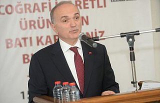 Karabük'te coğrafi işaret çalıştayı düzenlendi