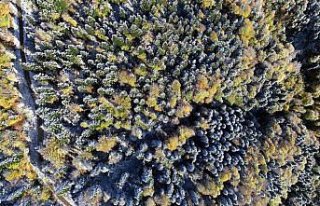 Kastamonu'da sonbaharın renk cümbüşü