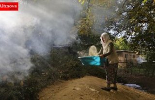 Kursunç pirinci 150 yıllık değirmende öğütülüyor