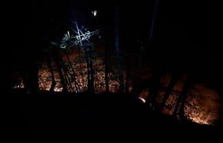 Ordu'daki örtü yangınlarında 70 dönümlük alan...