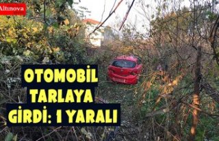 Otomobil tarlaya girdi: 1 yaralı