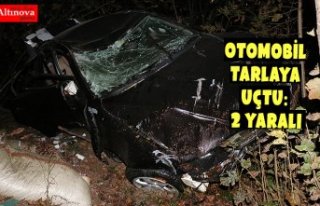 OTOMOBİL TARLAYA UÇTU: 2 YARALI