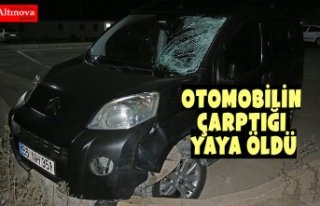 Otomobilin çarptığı yaya öldü