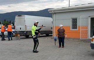 Otoyolda araç çarpan köpeğe ekipler yardım etti