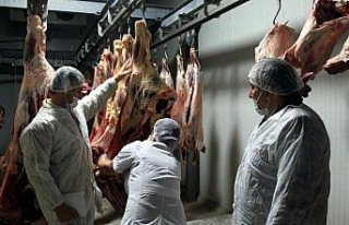 Samsun'da et üretim tesisleri denetlendi