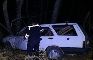 Sürücünün hayatını kayın ağaçları hayatını...