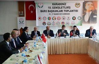 Türkiye Barolar Birliği Başkanı Metin Feyzioğlu:...