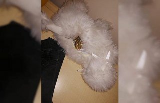 Zonguldak'ta oyuncak içine mermi saklayan şüpheli...