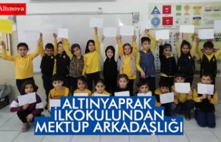 ALTINYAPRAK İLKOKULUNDAN MEKTUP ARKADAŞLIĞI