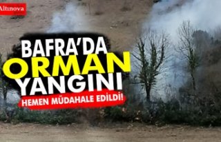 BAFRA’DA ORMANLIK ALANDA YANGIN