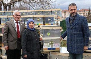 Bolu'da arıcılara kovan desteği verildi