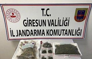 Giresun'da uyuşturucu operasyonunda 2 şüpheli yakalandı