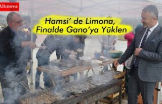 Hamsi’ de Limona, Finalde Gano’ya Yüklen