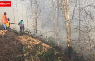 Karadeniz Bölgesi'ndeki tüm yangınlar kontrol...