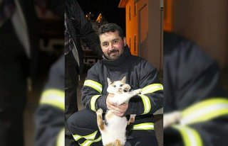 Kastamonu'da minarede mahsur kalan kediyi itfaiye...