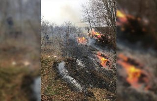 Ordu'daki örtü ve orman yangınları söndürüldü