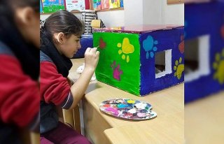 Ortaokul öğrencileri sokak hayvanları için atık...