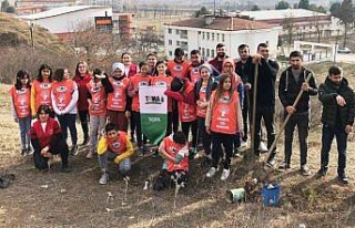 Taşova'da fidan dikme etkinliği