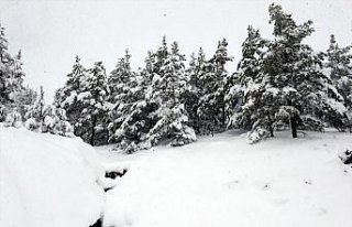Tokat'ta kar yağışı yüksek kesimlerde etkili...