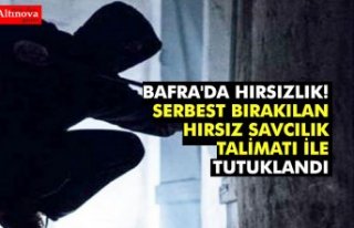 BAFRA'DA HIRSIZLIK! TEKRAR GÖZALTINA ALINDI