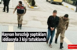 Hayvan hırsızlığı yaptıkları iddiasıyla 3...