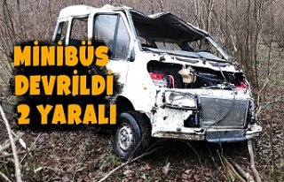Minibüs devrildi: 2 yaralı