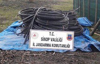 Sinop'ta kablo hırsızlığı yaptıkları iddia...