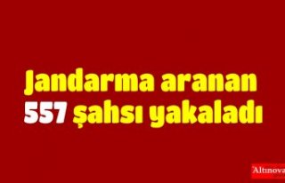 Jandarma aranan 557 şahsı yakaladı