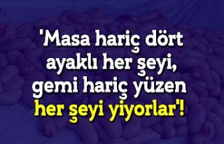 'Masa hariç dört ayaklı her şeyi, gemi hariç...