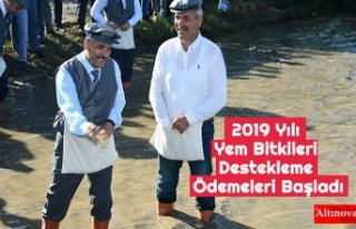 2019 Yılı Yem Bitkileri Destekleme Ödemeleri Başladı