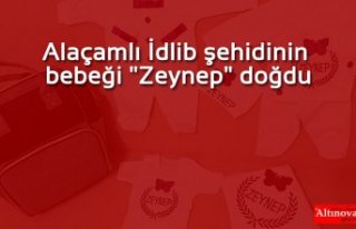 Alaçamlı İdlib şehidinin bebeği "Zeynep"...
