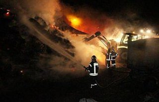 Amasya'da yangın sonucu 1 hayvan telef oldu, 120...