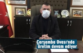 Çarşamba Ovası'nda üretim devam ediyor