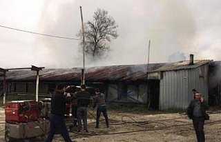 Düzce'de kümeste çıkan yangında binlerce tavuk...