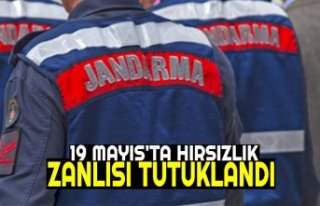 19 MAYIS'TA HIRSIZLIK ZANLISI TUTUKLANDI