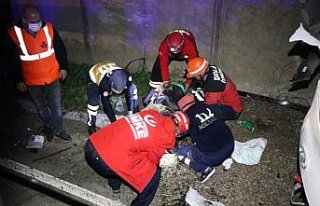 Anadolu Otoyolu'nda cip devrilen tıra çarptı: 3...