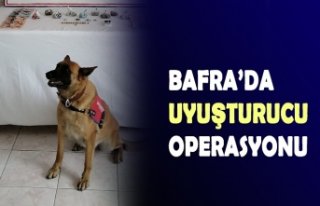 BAFRA’DA UYUŞTURUCU OPERASYONU