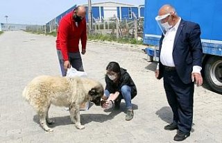 Can dostları için her gün yollara düşüyorlar