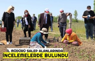 İL MÜDÜRÜ SALEP ALANLARINDA İNCELEMELERDE BULUNDU
