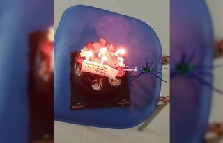 Ordu'da karantinadakilere doğum günü ve evlilik...