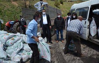 Ordu'nun tescilli Akkuş fasulyesi üreticilerine...