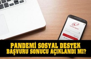Pandemi sosyal destek başvuru sonuçları açıklandı...